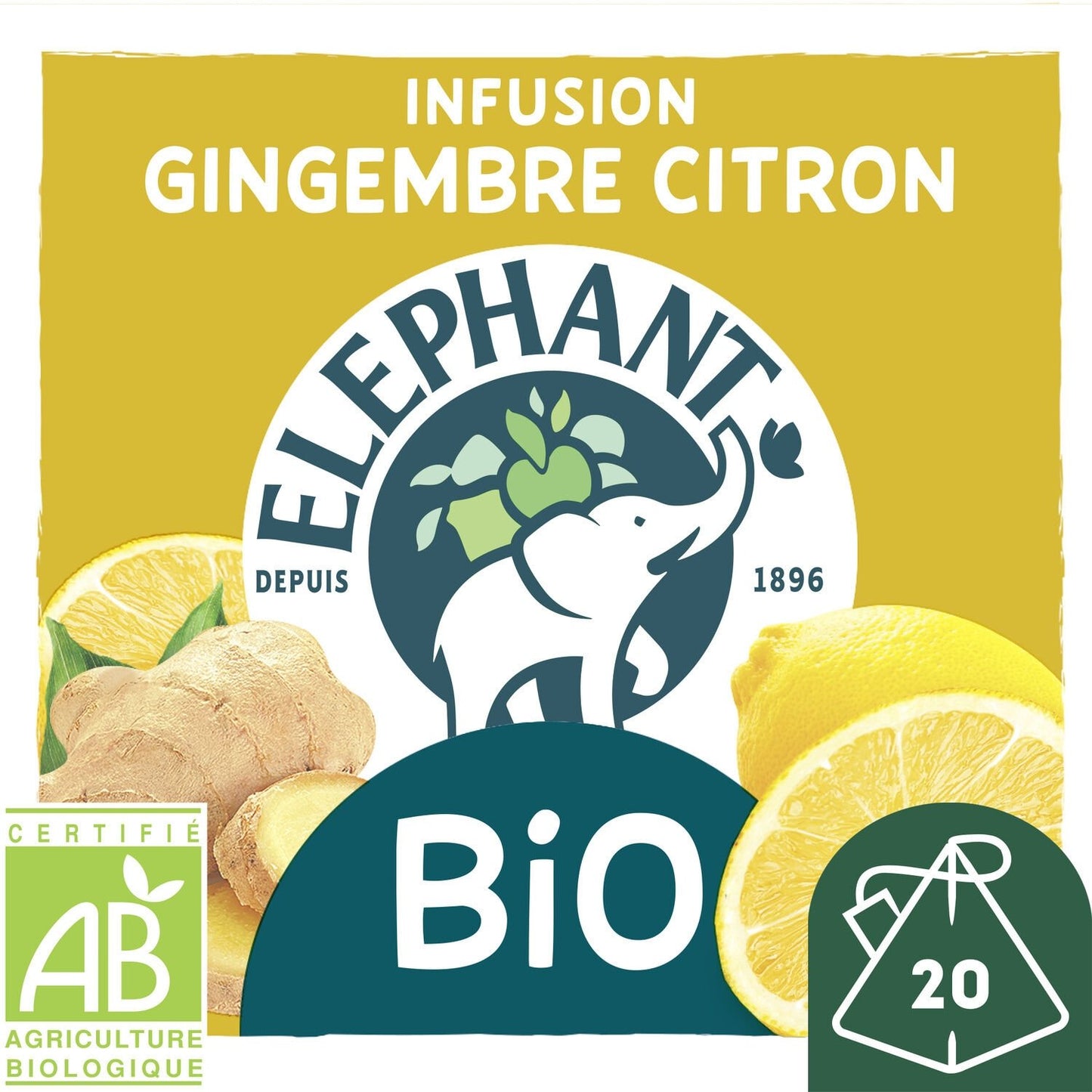 ELEPHANT Infusion gingembre citron, bio 20 sachets 34g